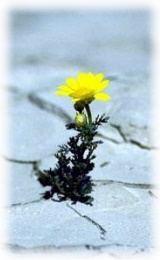 160x260_Hoffnung